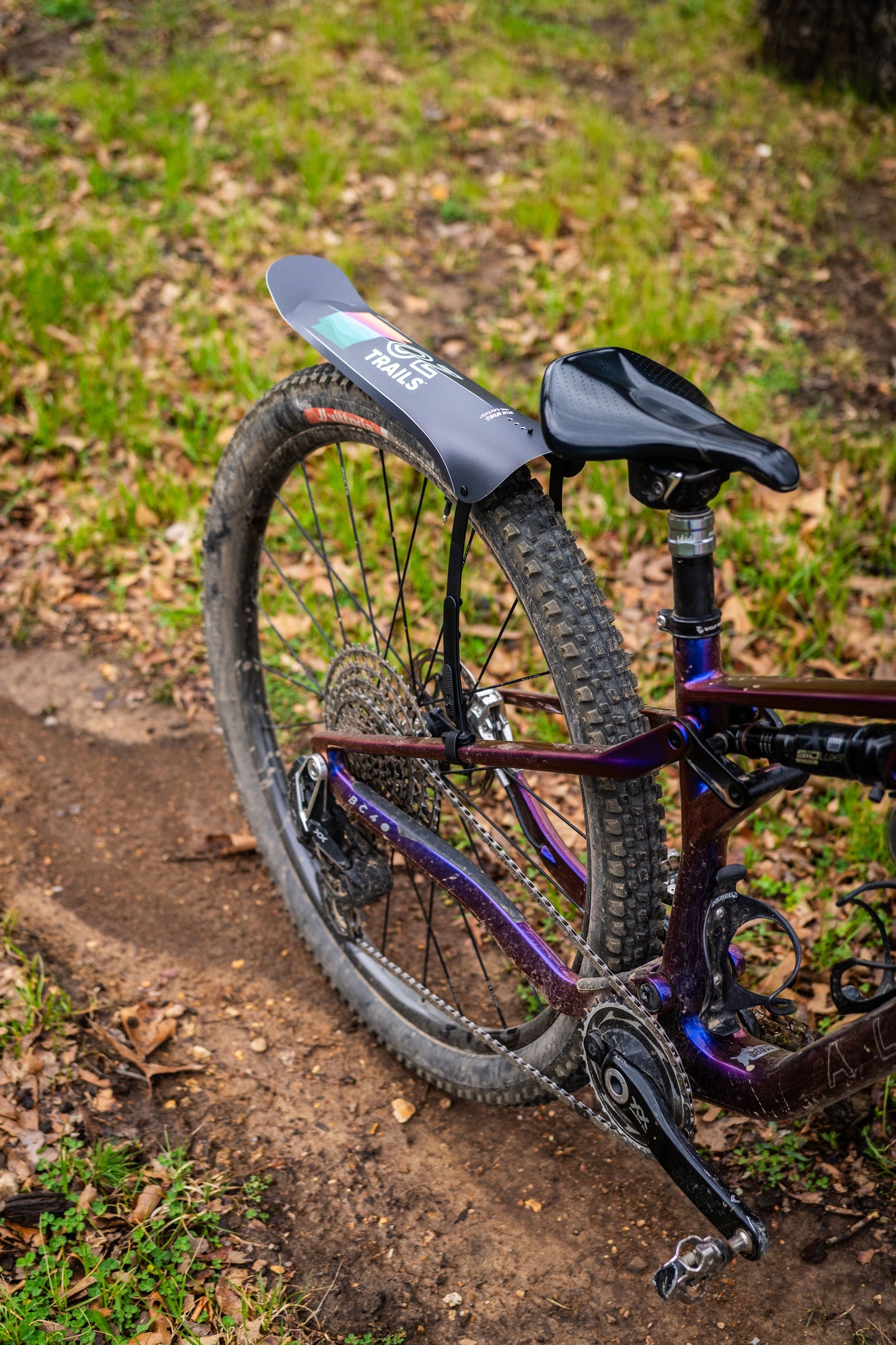 Medusa Mudguard