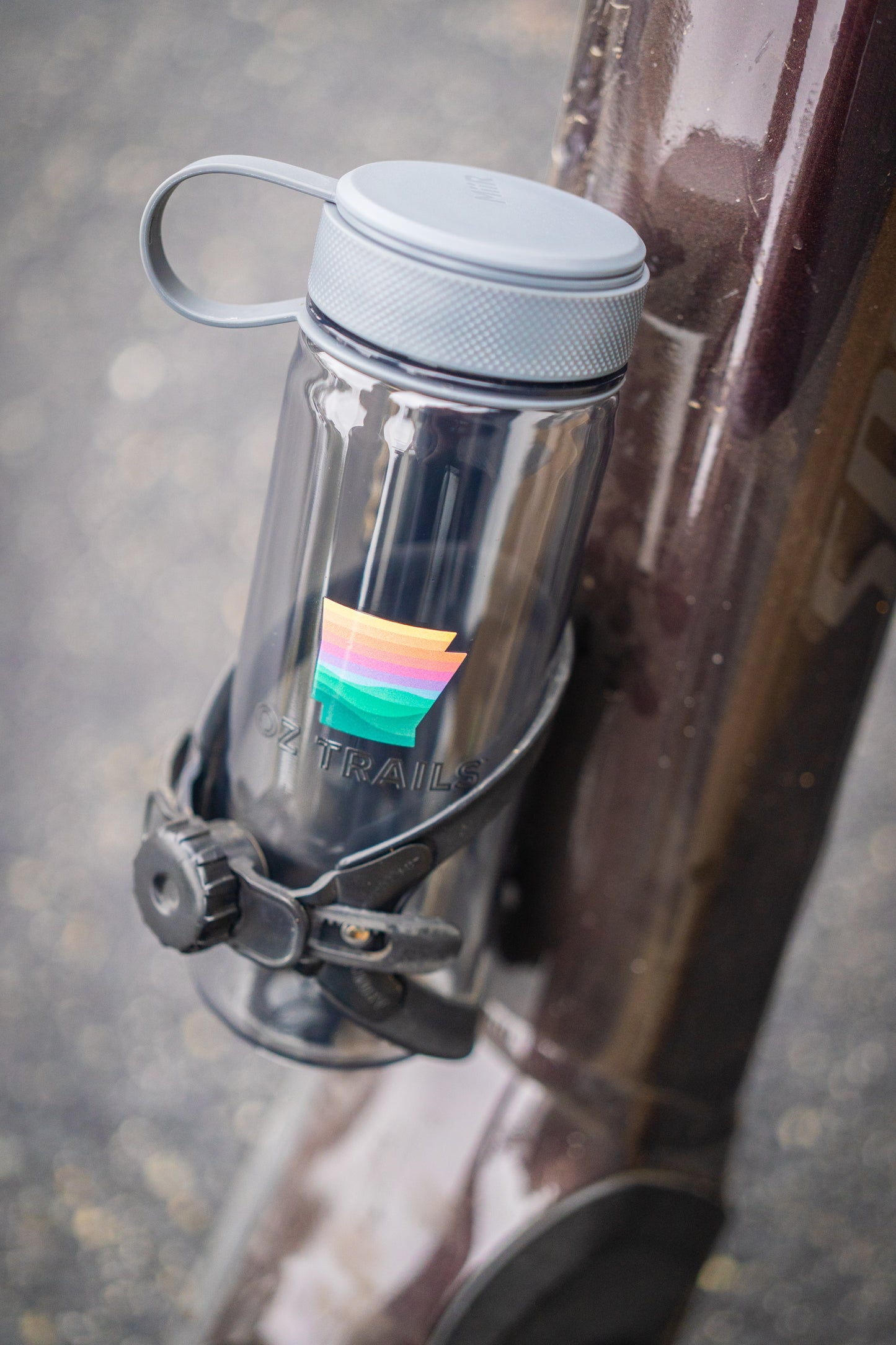 Everywhere Bottle