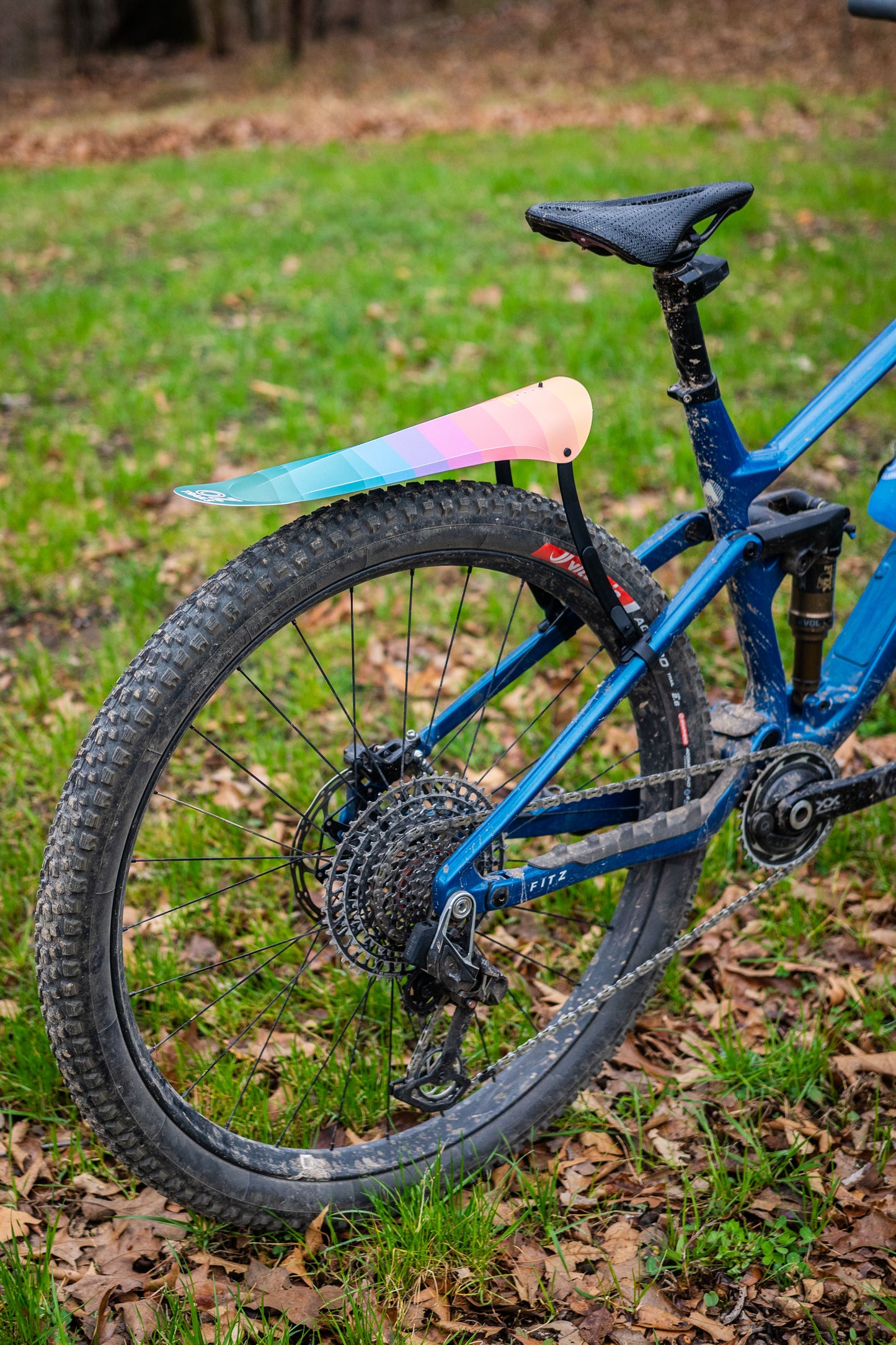 Medusa Mudguard