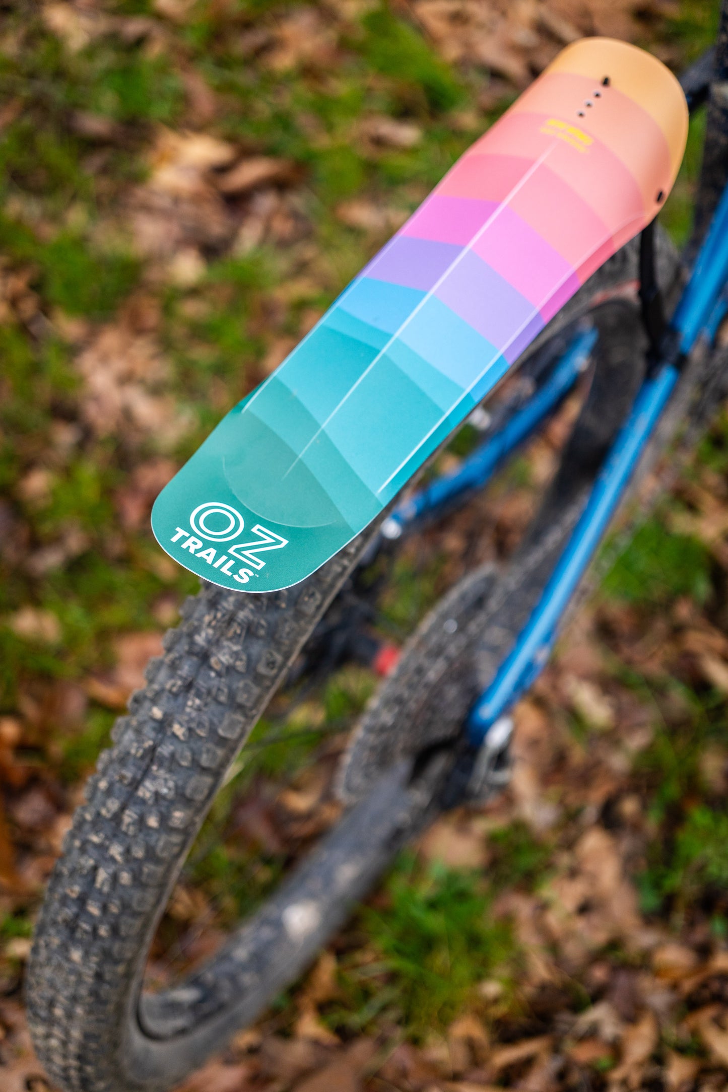 Medusa Mudguard