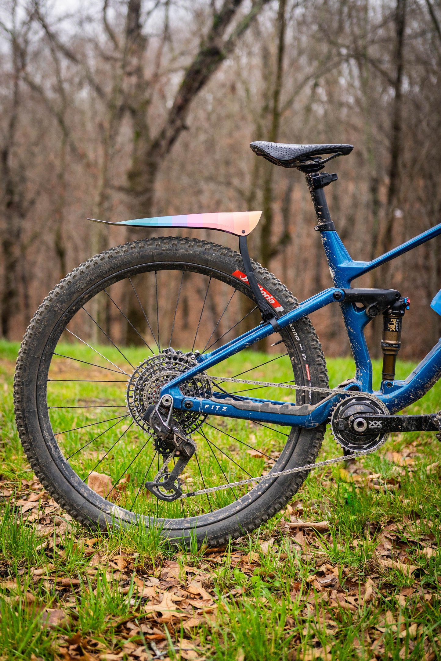 Medusa Mudguard