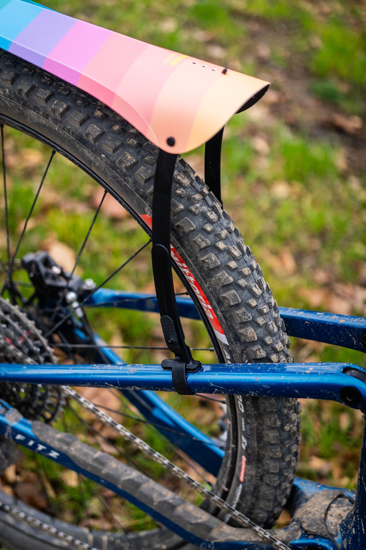 Medusa Mudguard
