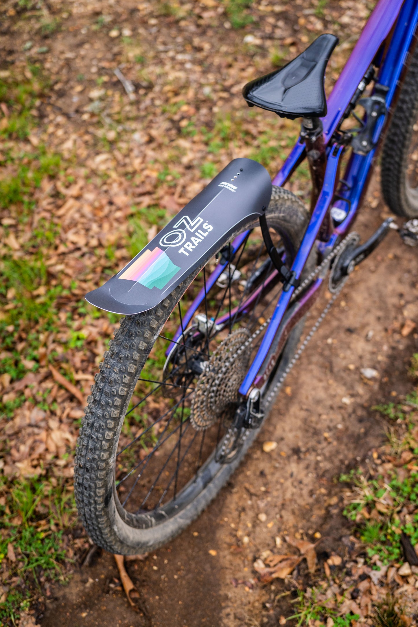 Medusa Mudguard