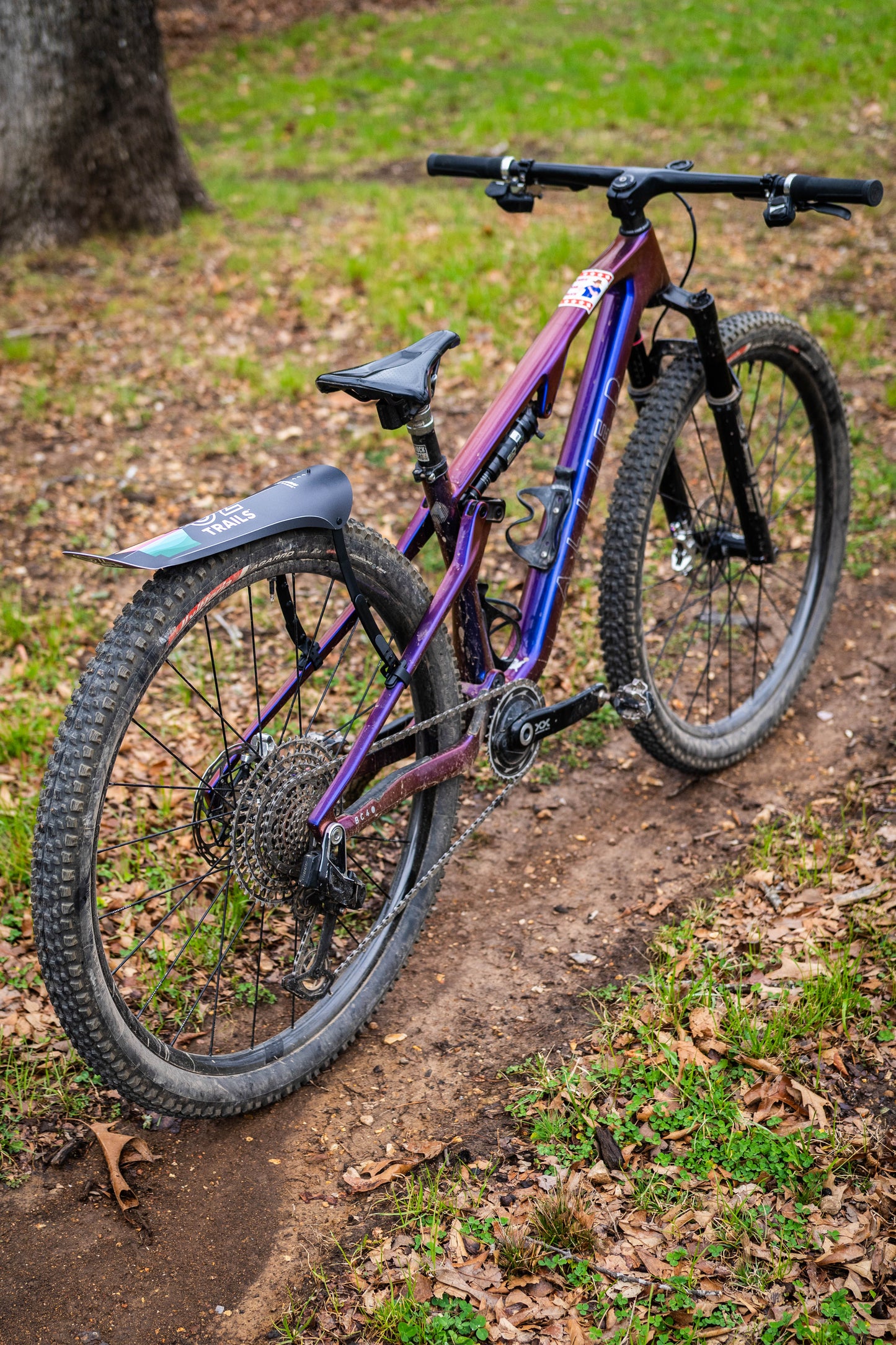 Medusa Mudguard