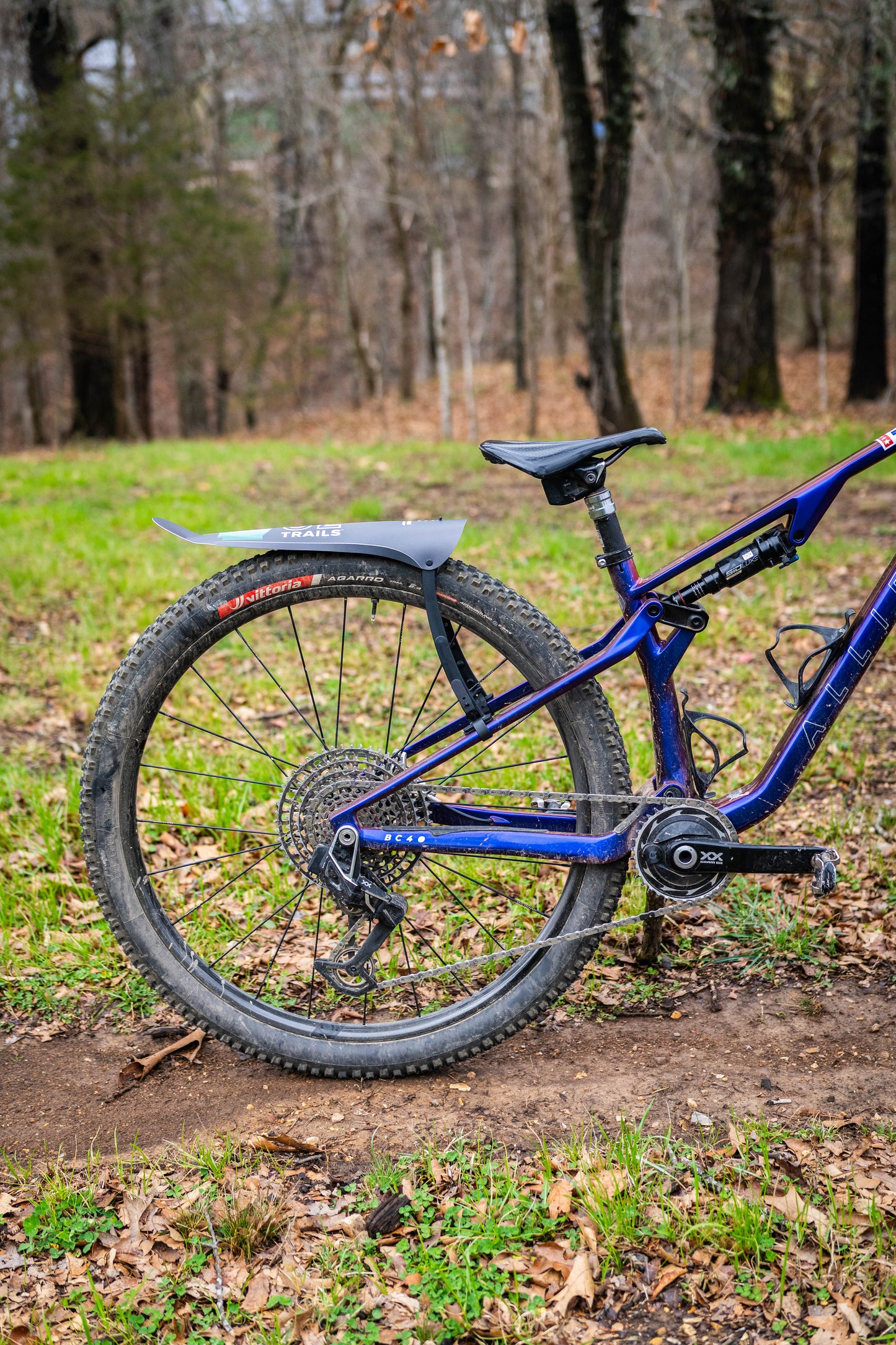 Medusa Mudguard