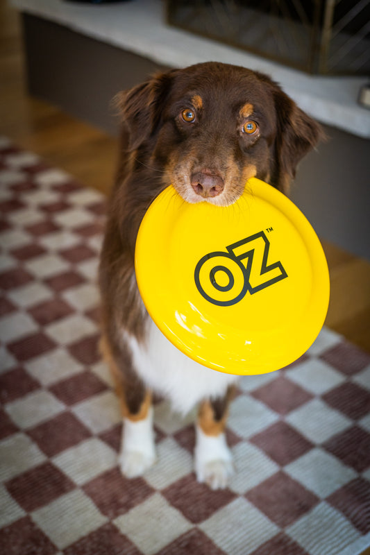 Oz Frisbee