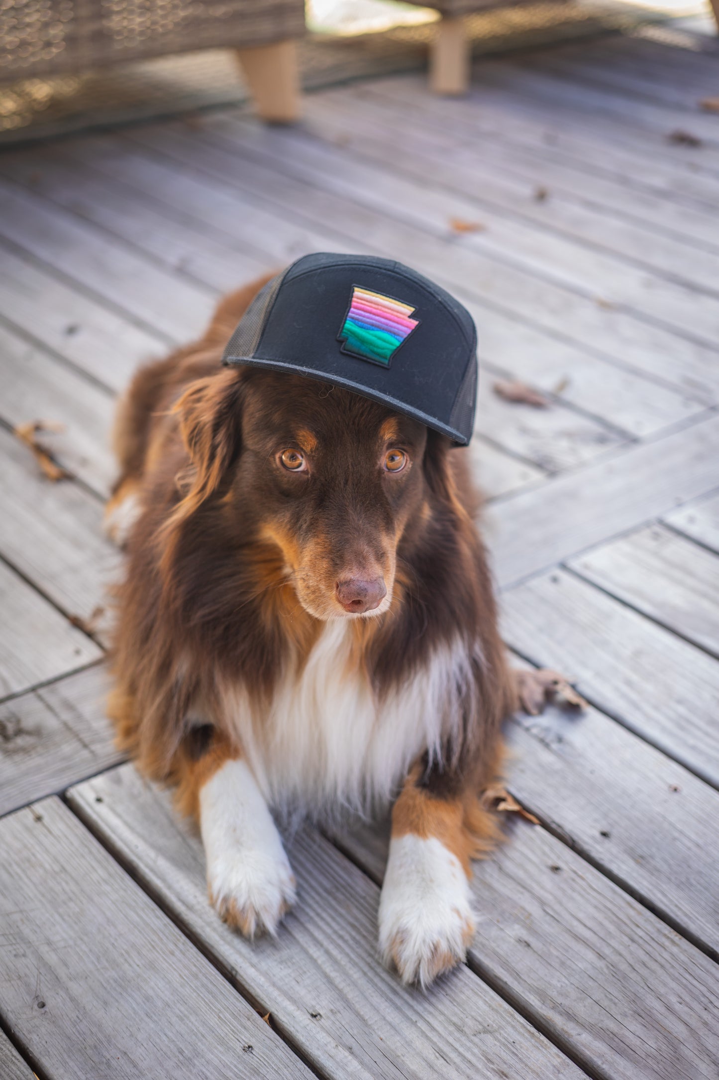 Arky Patch Hat